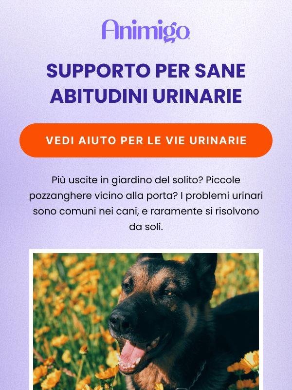 Di nuovo incidenti in casa?