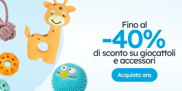 Giochi e accessori per cani.