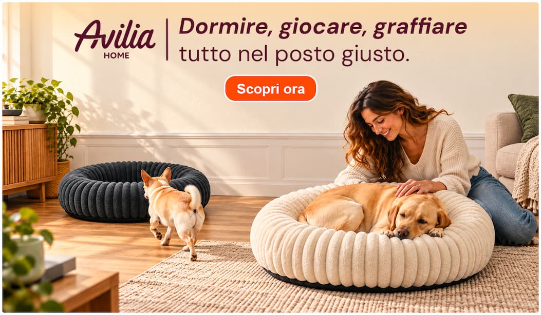 Scopri le soluzioni Avilia per far dormire, giocare e graffiare i tuoi animali nel posto giusto.