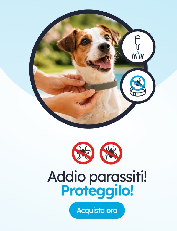 Antiparassitari per cani.
