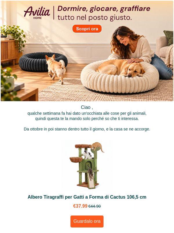 Il gatto ha già scelto il divano
