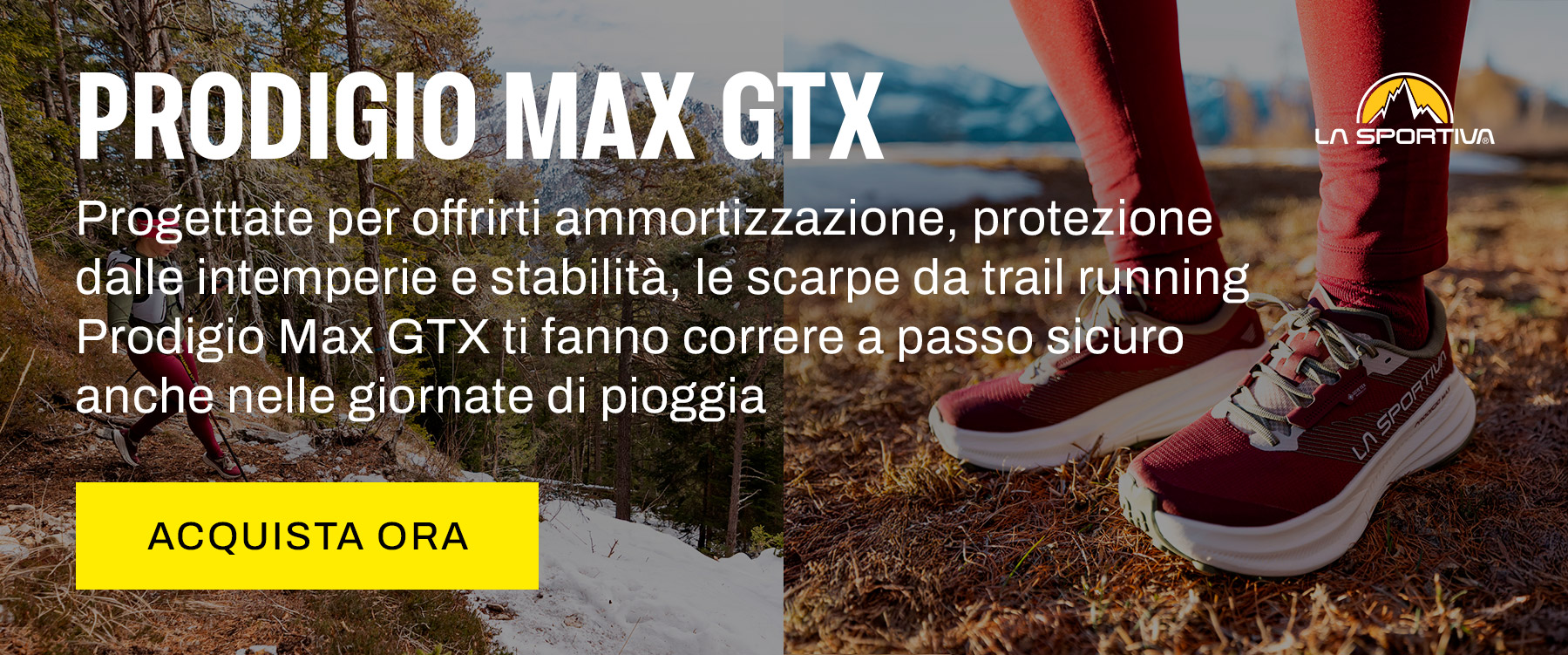 Prodigio Max GTX