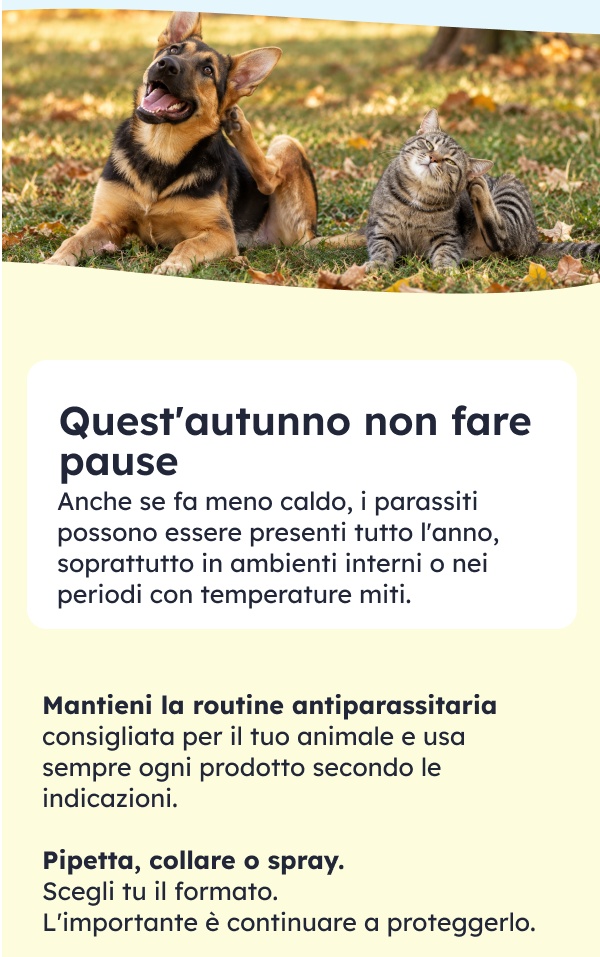 In autunno non dimenticare l'antiparassitario del tuo amico a quattro zampe.