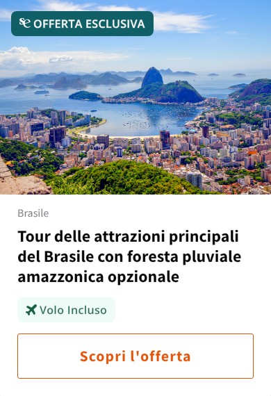 Tour delle attrazioni principali del Brasile con foresta pluviale amazzonica opzionale