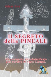 Il Segreto della Pineale