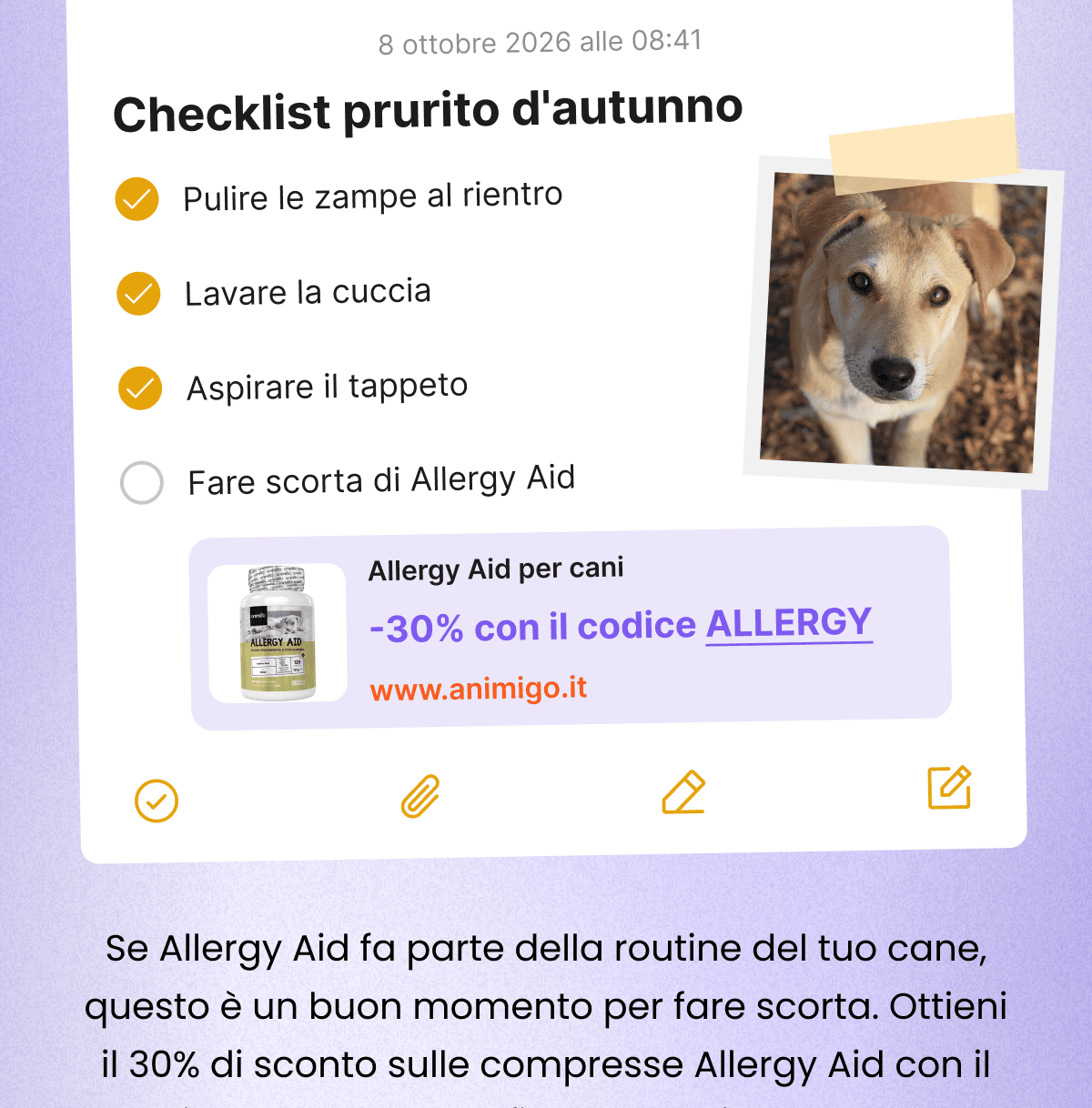 L'autunno non ferma il prurito. L’erba umida e la polvere ci sono ancora, e i cani trascorrono più tempo sul tappeto. Se Allergy Aid fa parte della routine del tuo cane, questo è un buon momento per fare scorta. Ottieni il 30% di sconto sulle compresse Allergy Aid con il codice ALLERGY. Solo fino a esaurimento scorte.