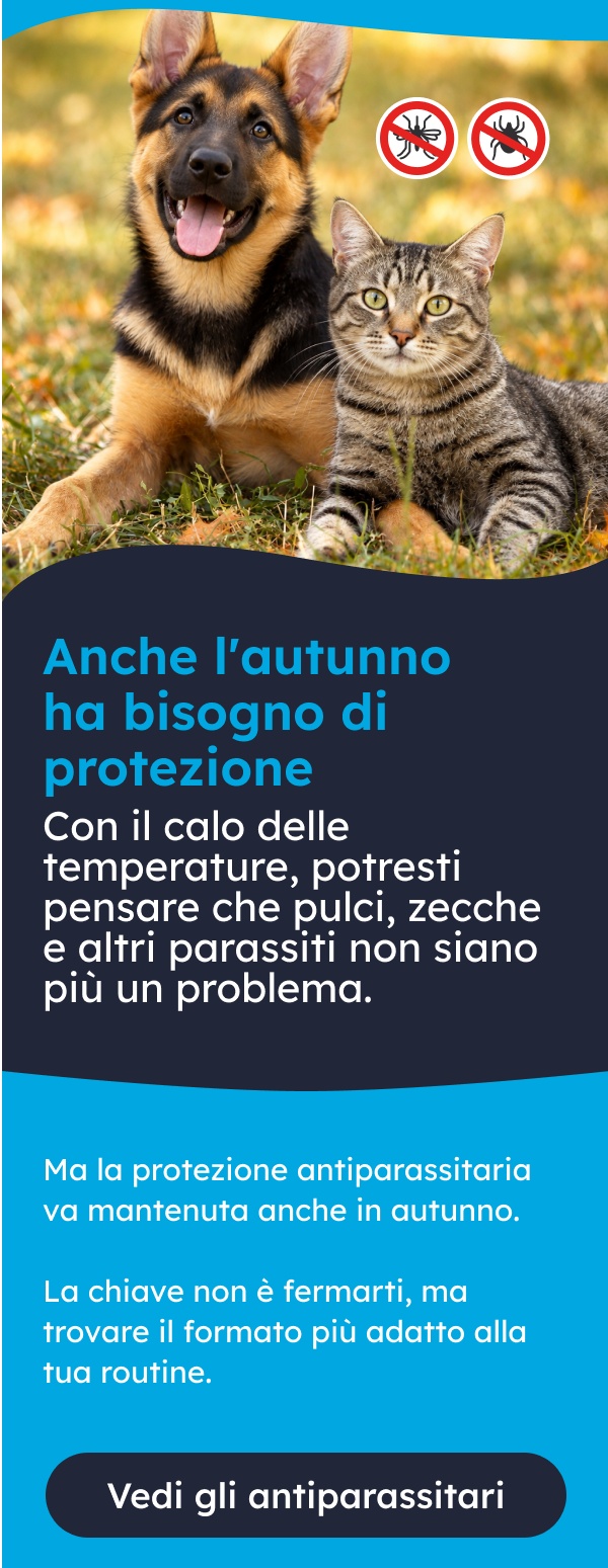 In autunno non dimenticare l'antiparassitario del tuo amico a quattro zampe.