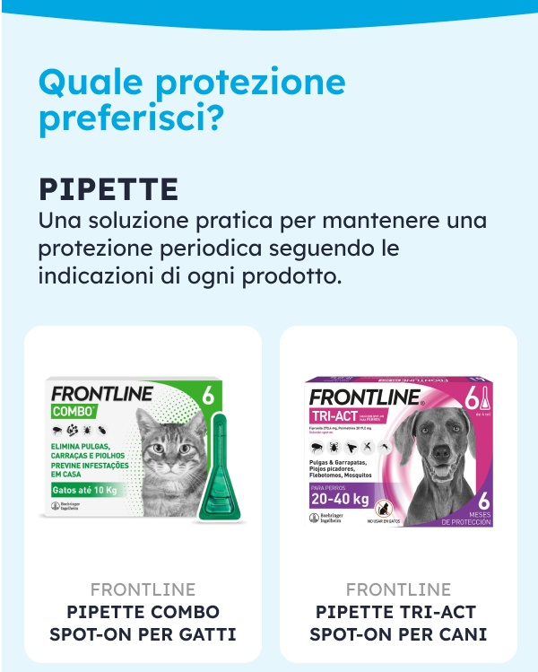 In autunno non dimenticare l'antiparassitario del tuo amico a quattro zampe.