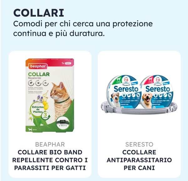 In autunno non dimenticare l'antiparassitario del tuo amico a quattro zampe.
