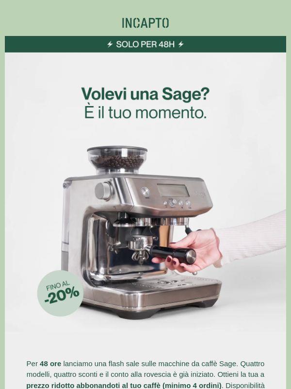 Flash Sales ⚡