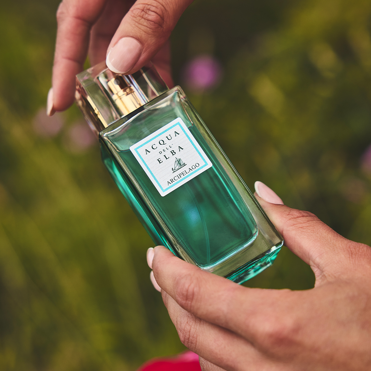 Mediterranea