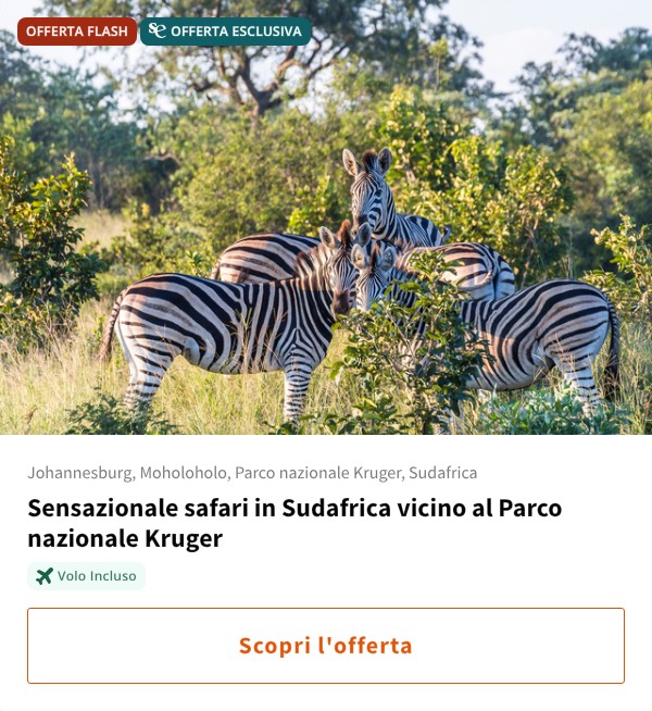 Sensazionale safari in Sudafrica vicino al Parco nazionale Kruger