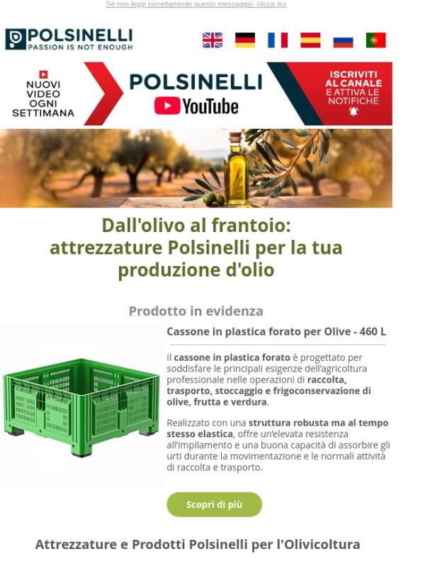 Pronto per la raccolta delle olive? Scopri le attrezzature Polsinelli 🫒
