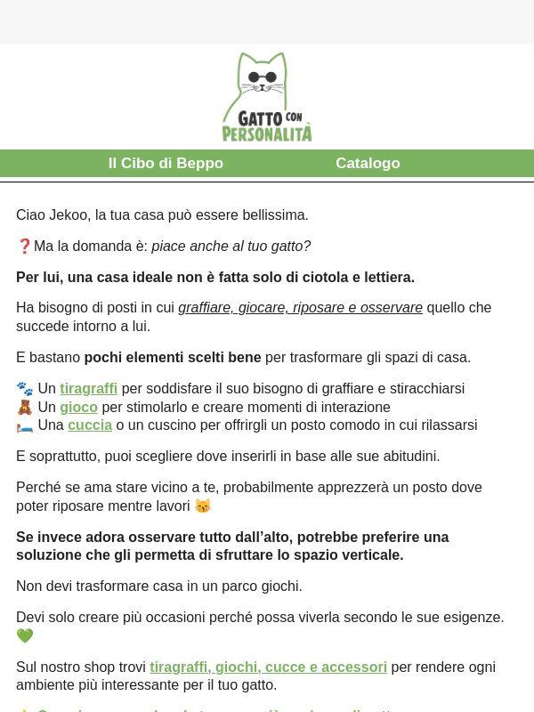 La tua casa è a misura di gatto? 🏠