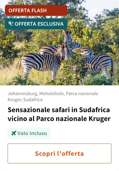 Sensazionale safari in Sudafrica vicino al Parco nazionale Kruger