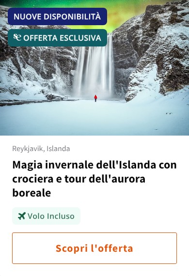 Magia invernale dell'Islanda con crociera e tour dell'aurora boreale