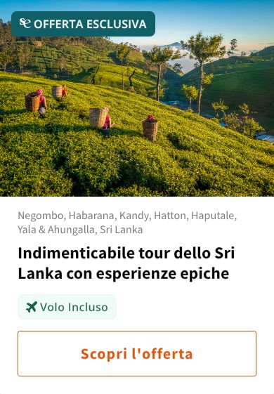Indimenticabile tour dello Sri Lanka con esperienze epiche