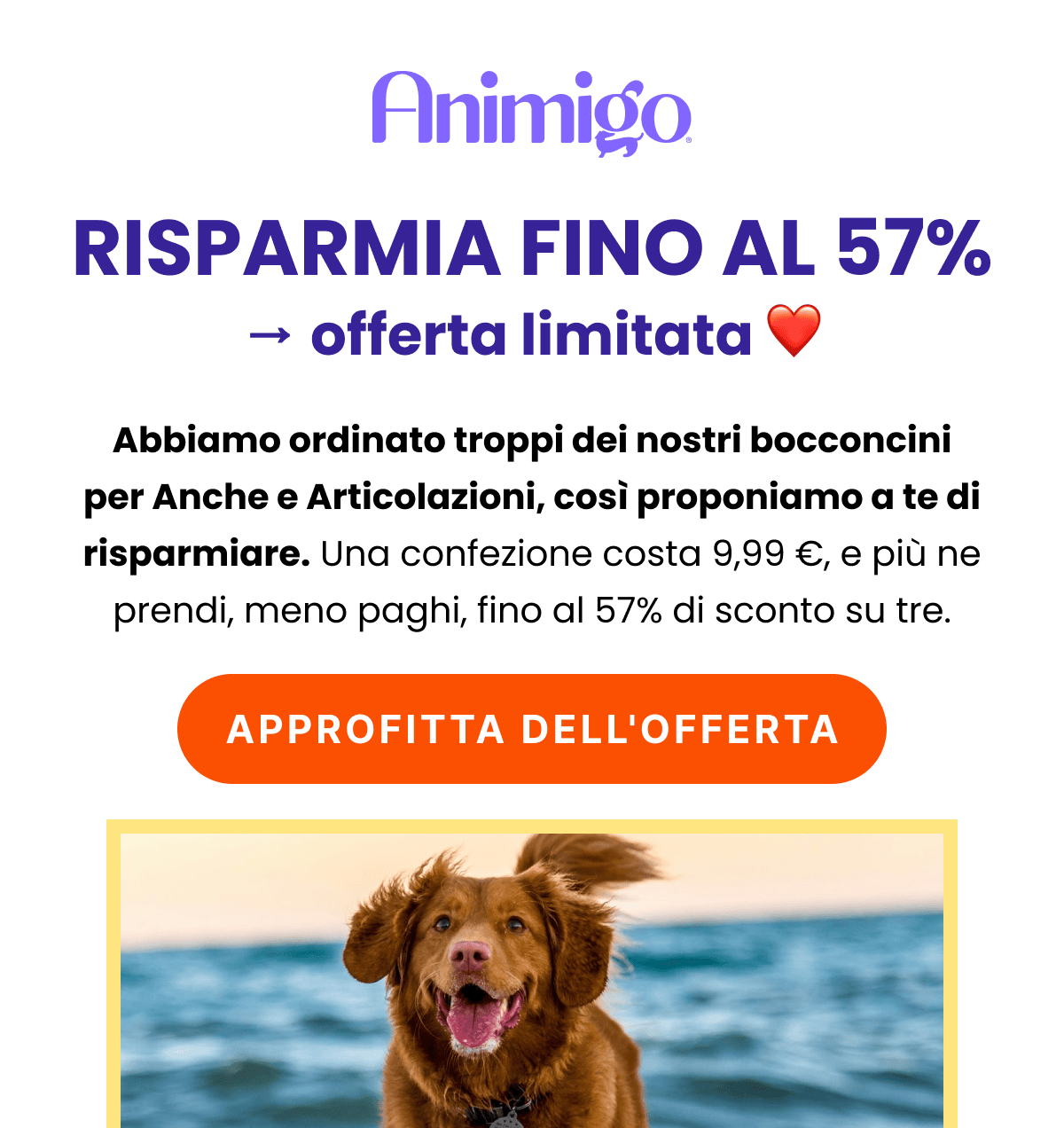 RISPARMIA FINO AL 57% - offerta limitata.