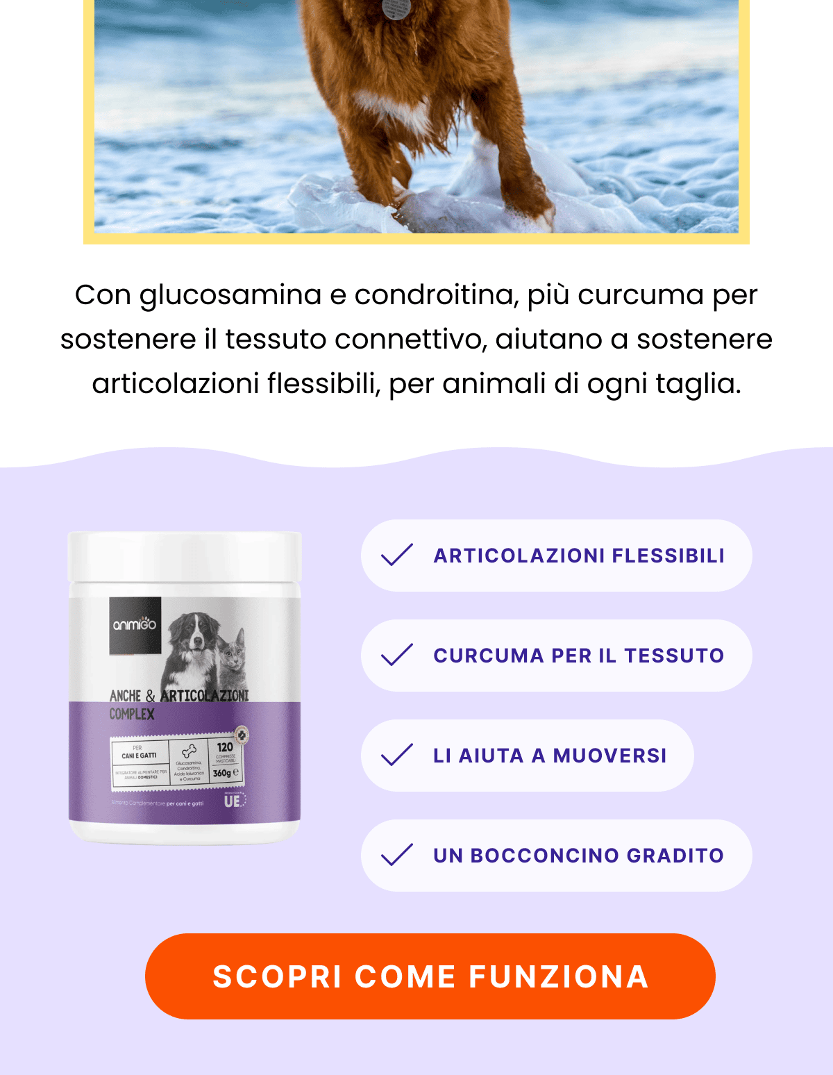 Abbiamo ordinato troppi dei nostri bocconcini per Anche e Articolazioni, così proponiamo a te di risparmiare. Una confezione costa 9,99 €, e più ne prendi, meno paghi, fino al 57% di sconto su tre. Con glucosamina e condroitina, più curcuma per sostenere il tessuto connettivo, aiutano a sostenere articolazioni flessibili, per animali di ogni taglia. Se può servirti una confezione, o conosci qualcuno a cui può far comodo, ci aiuteresti a smaltire l'eccedenza.