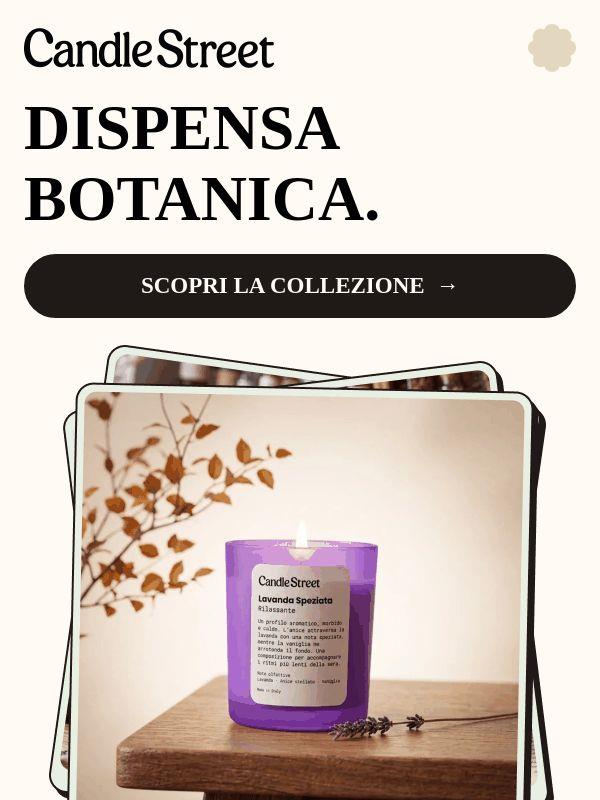 🌿 Nuova collezione: Dispensa Botanica