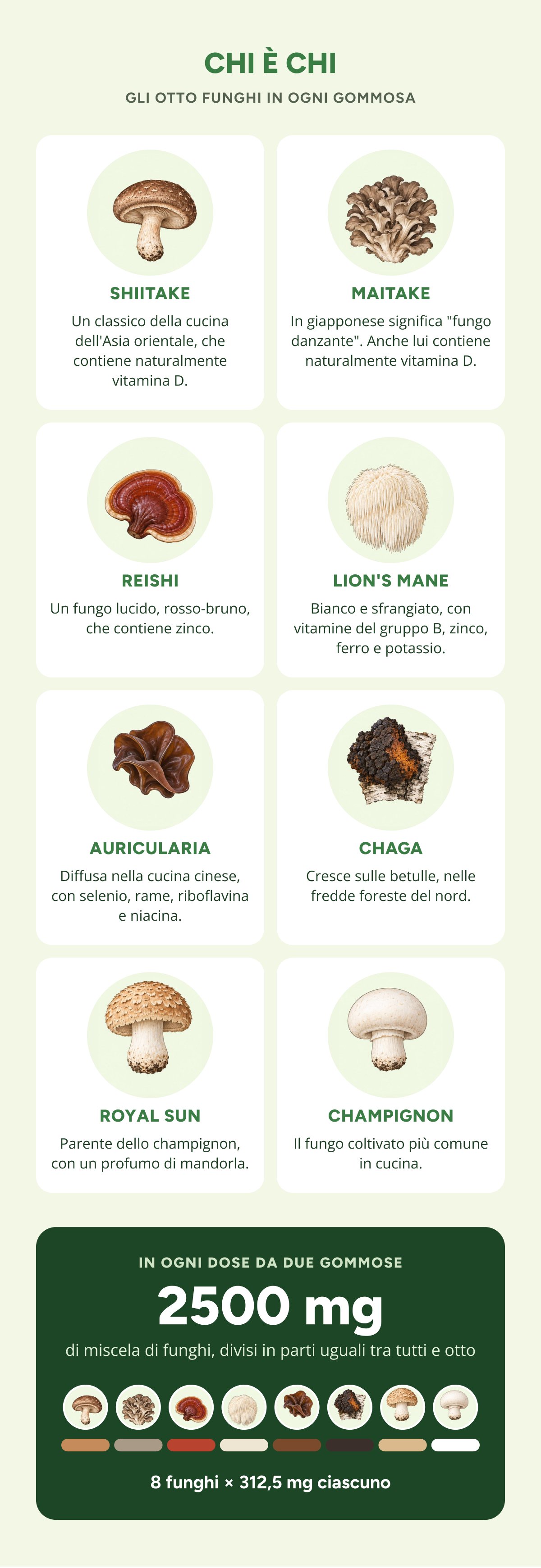 CHI È chi gli otto funghi in ogni gommosa shiitake Un classico della cucina asiatica, ricco di vitamina D.