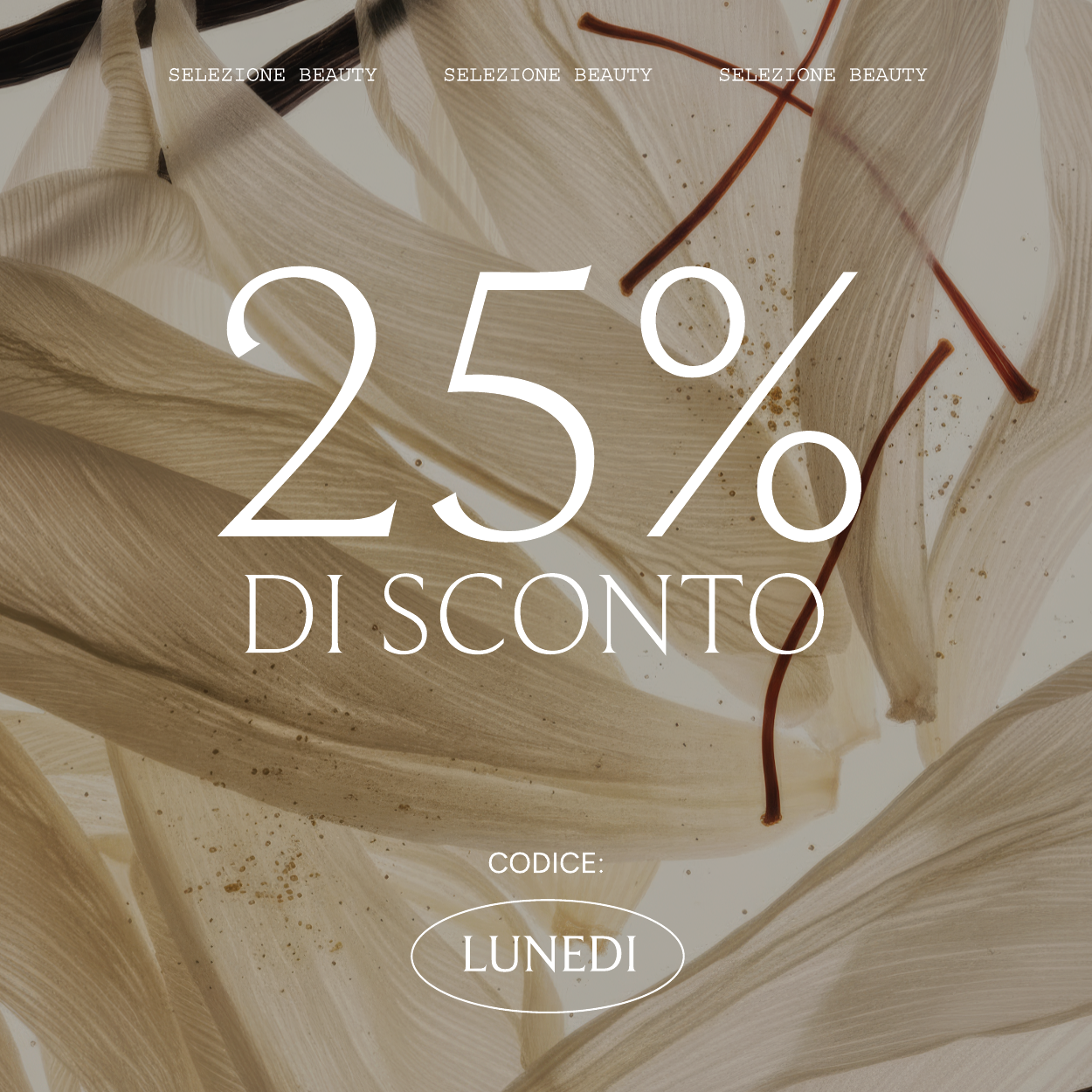 25% KORTING