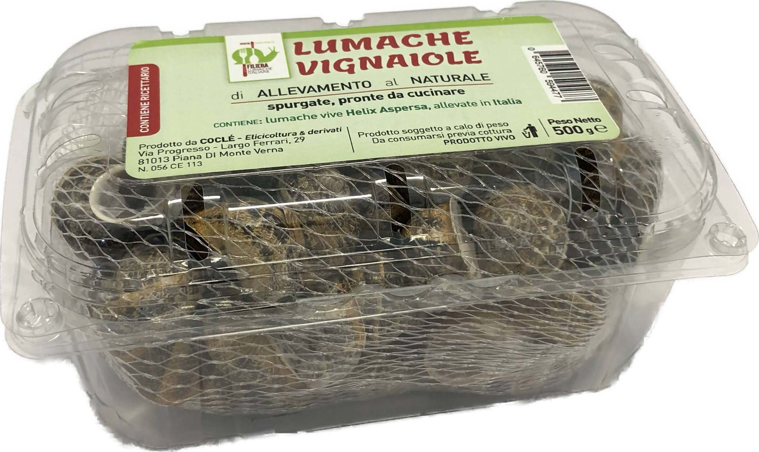 Lumache da Gastronomia Vignaiole Helix Aspersa 11-12 gr. Cad Pronte per la Cottura Filiera Lumache Italiane Coclè