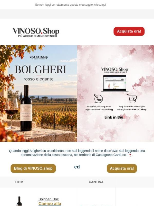 💜 VINOSO | Campo alla Giostra 2023: un Cabernet Sauvignon in purezza
