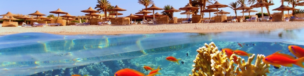 Beach resort shoreline with straw sunshades and palm trees above crystal-clear water revealing coral reef and colourful fish
