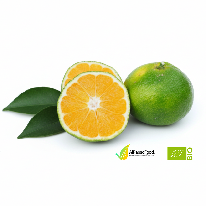 Mandarino Satsuma Biologico 1Kg