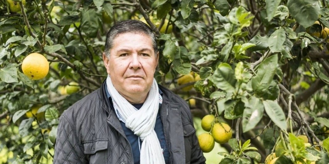 Azienda Agricola Patea
