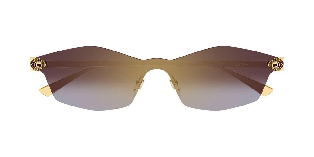 Cartier  CT0678S