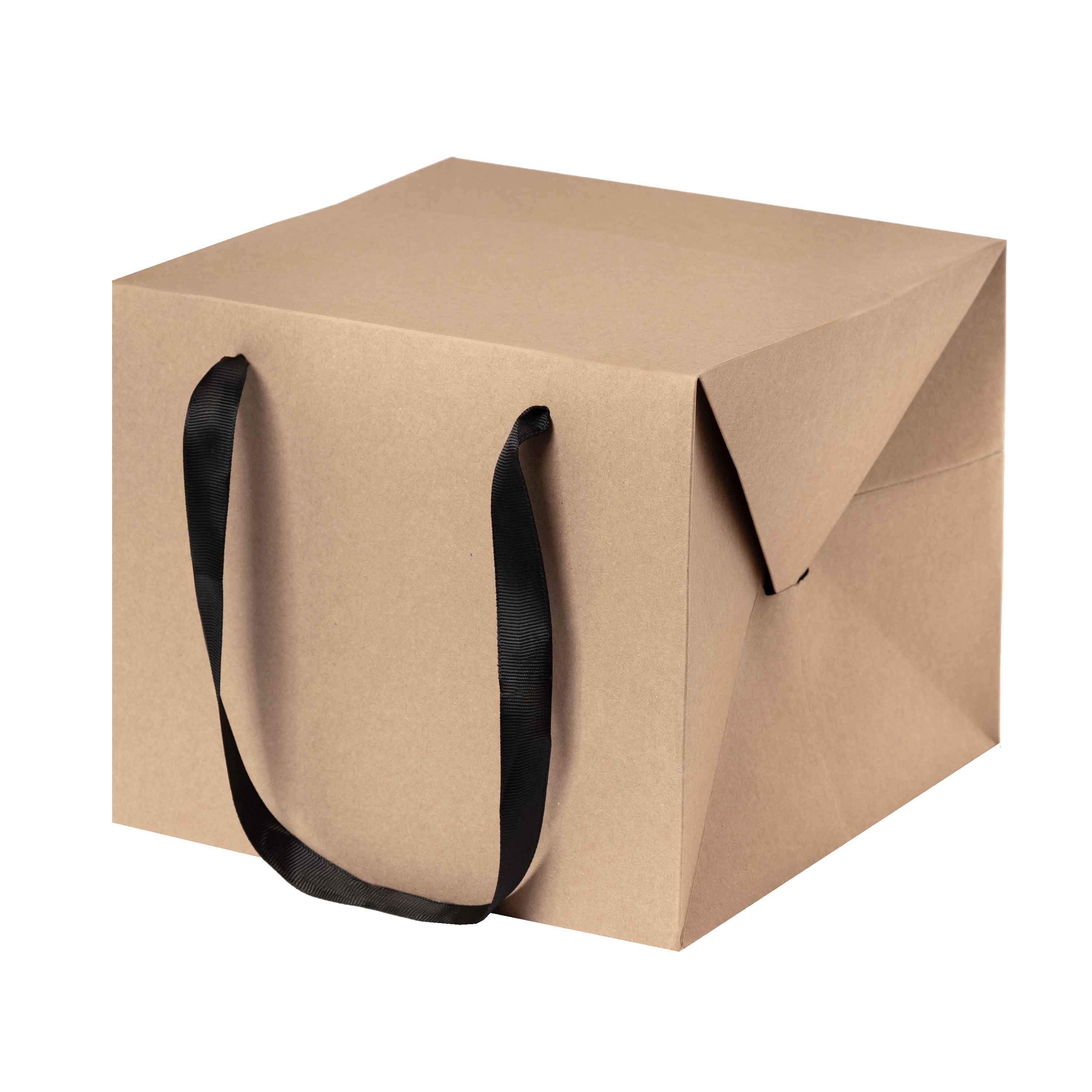 Image of Bag Box Kraft Avana