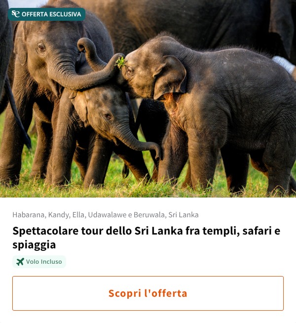 Spettacolare tour dello Sri Lanka fra templi, safari e spiaggia
