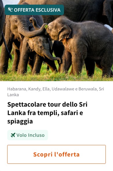 Spettacolare tour dello Sri Lanka fra templi, safari e spiaggia
