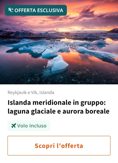 Islanda meridionale in gruppo: laguna glaciale e aurora boreale