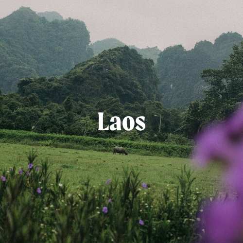 Laos