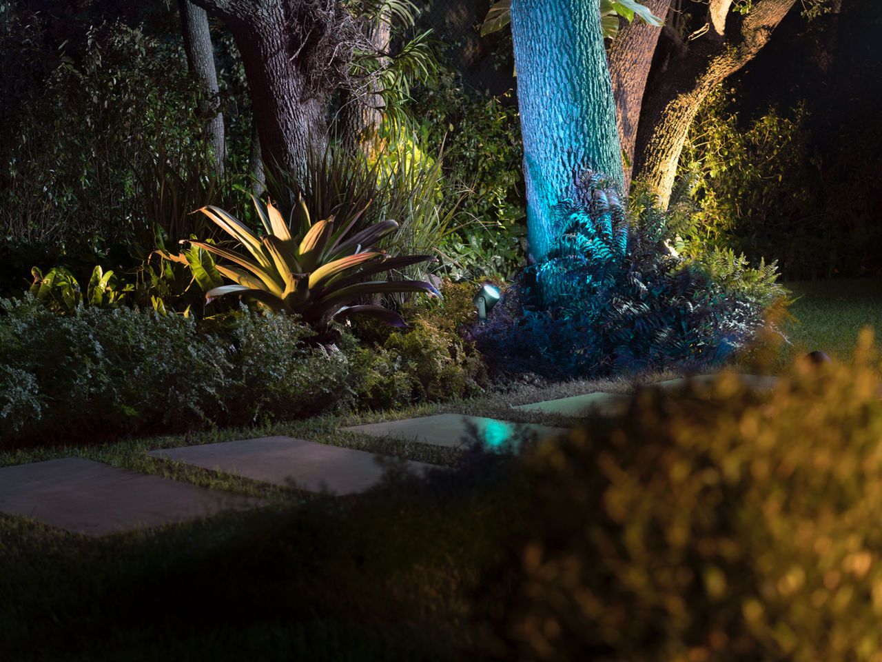 Illumina il tuo giardino
