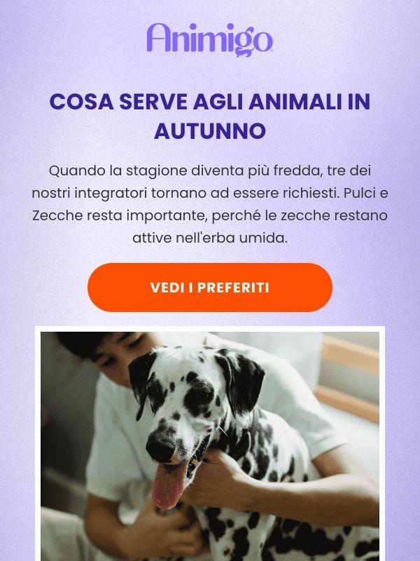 Tre scelte per la stagione più fresca