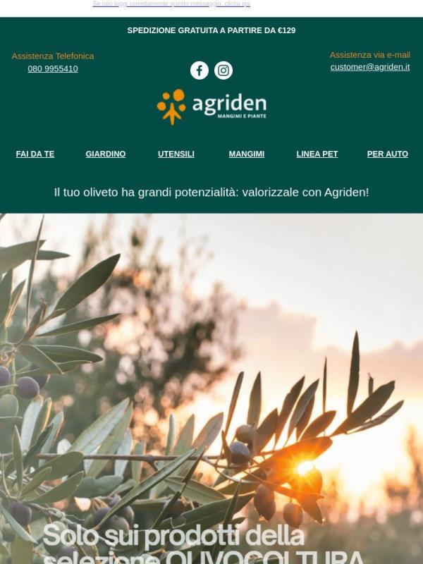 Il tuo oliveto, la nostra passione. Scopri la promo Agriden! 🌿