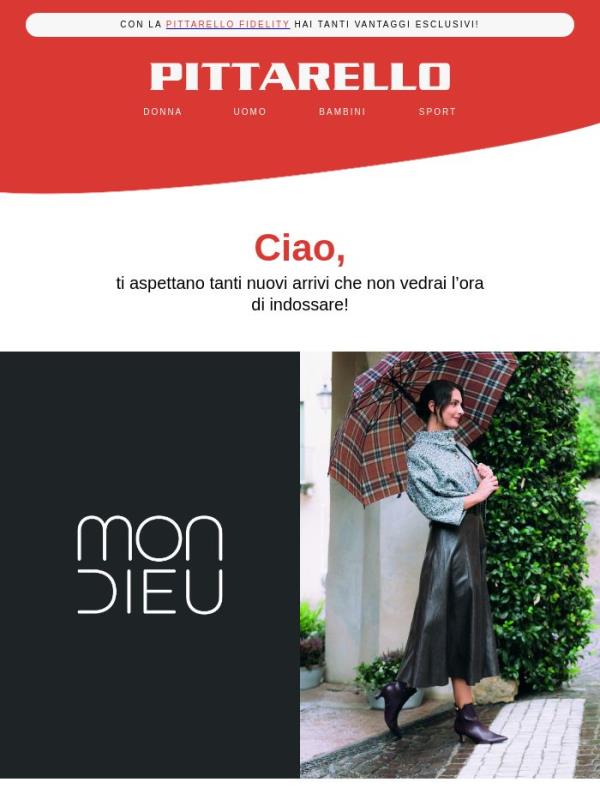 ✨ Casual o elegante? Scegli la scarpa giusta per l'autunno!