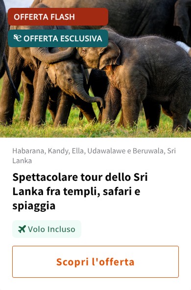 Spettacolare tour dello Sri Lanka fra templi, safari e spiaggia