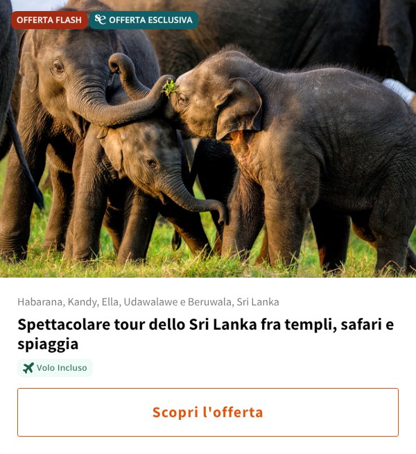 Spettacolare tour dello Sri Lanka fra templi, safari e spiaggia