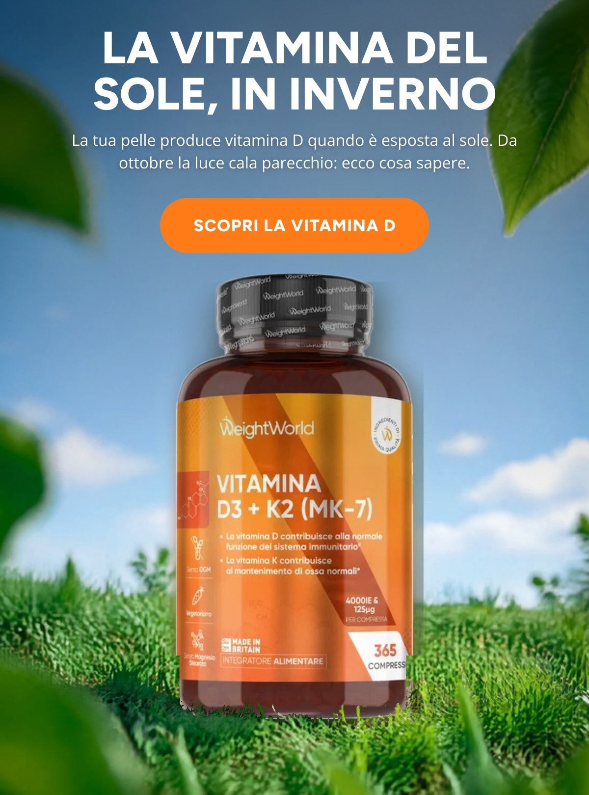 La vitamina del sole, in inverno La tua pelle produce vitamina D quando è esposta al sole. Da ottobre la luce cala parecchio: ecco cosa serve.
