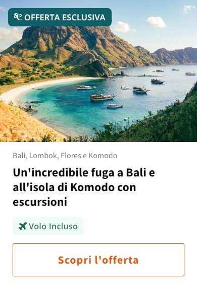 Un'incredibile fuga a Bali e all'isola di Komodo con escursioni