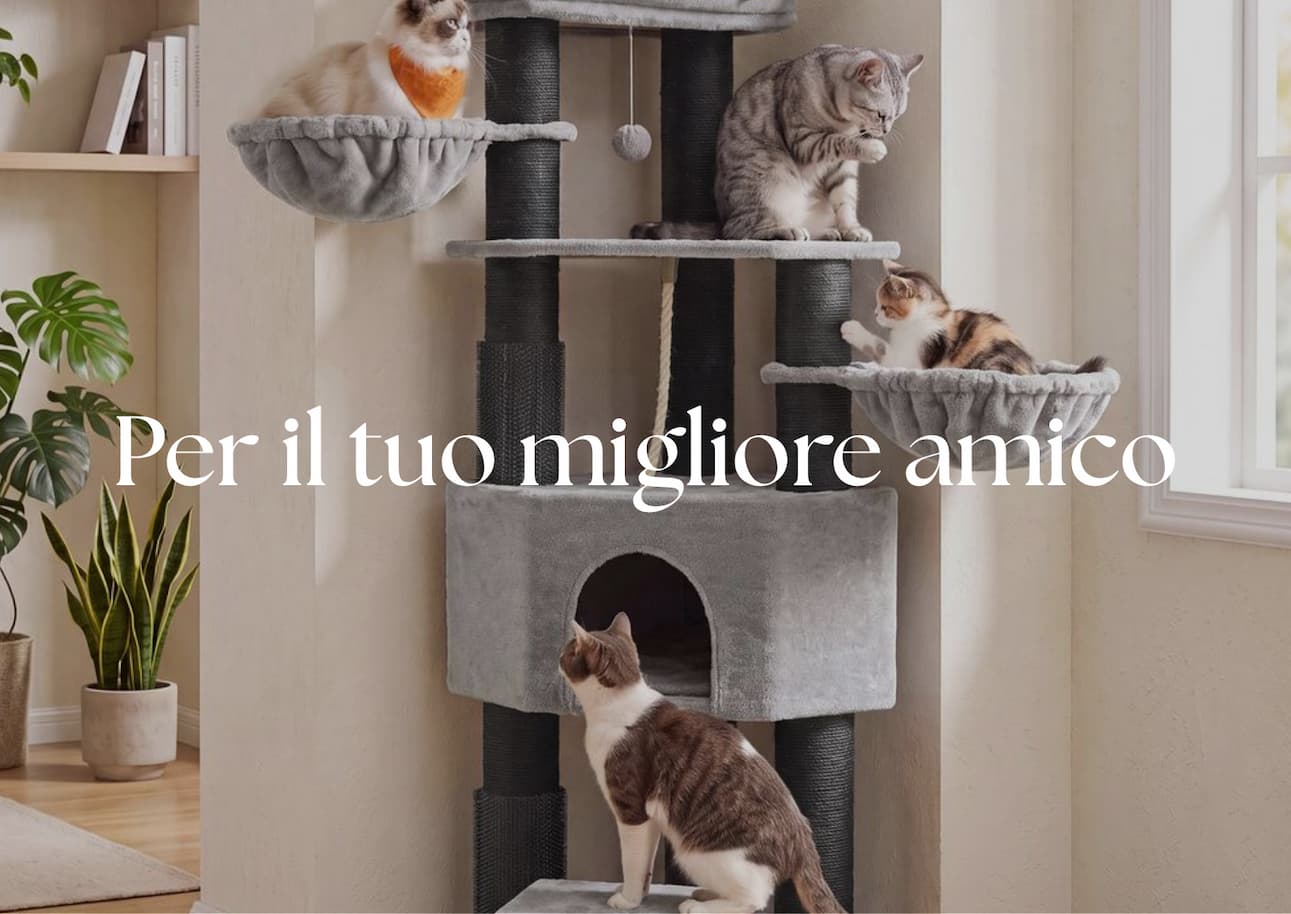articoli-per-gatti