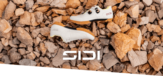 Sidi Cargando...