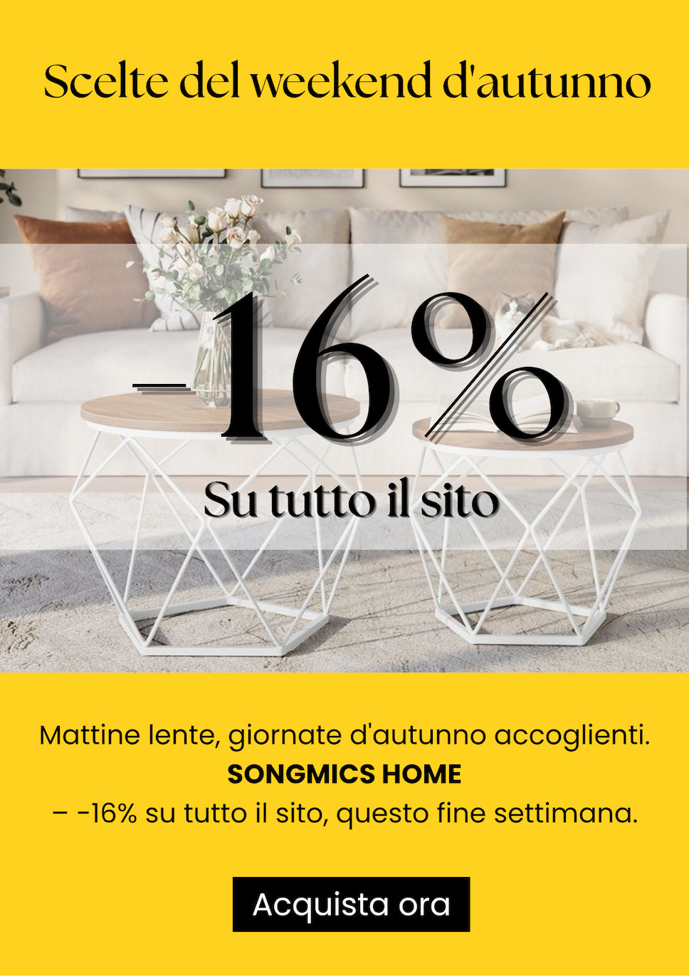 16% su tutto