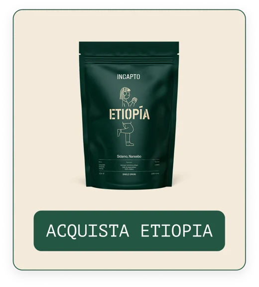 Acquista caffè in grani Etiopia