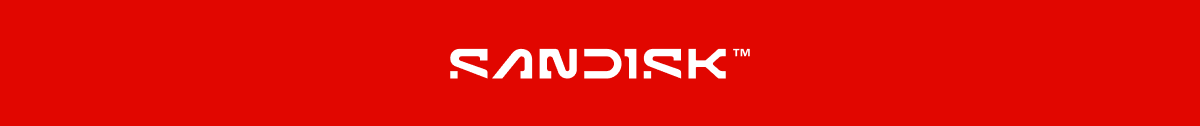 Logo SANDISK